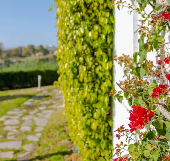 Sale of penthouse in Los Arqueros