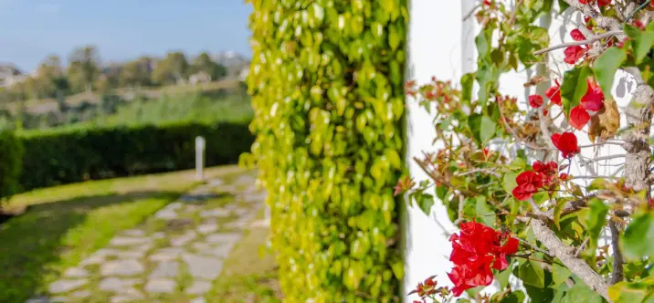 Sale of penthouse in Los Arqueros 2