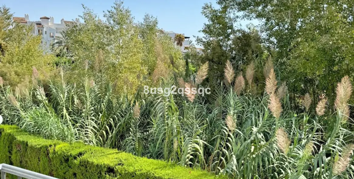 Venta de apartamento en planta media en Costalita 13