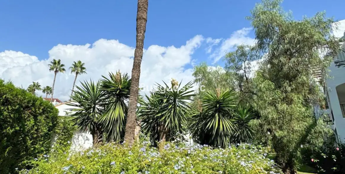 Venta de apartamento en planta media en Costalita 16