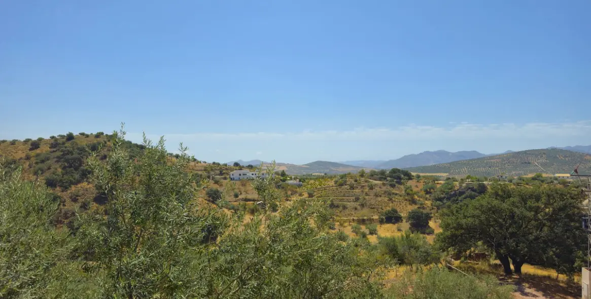 Sale of detached villa in Riogordo 56