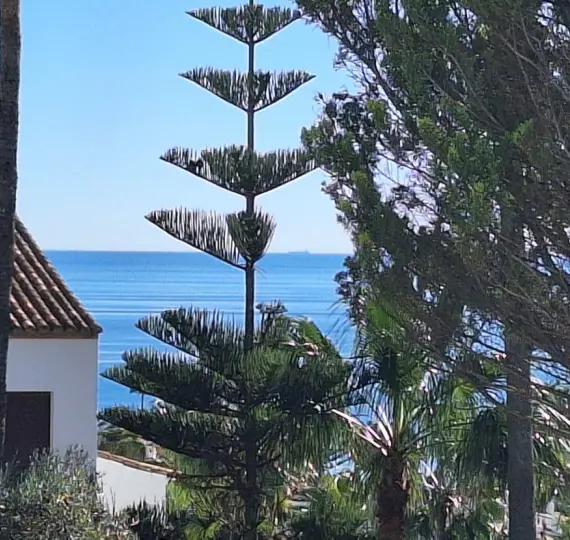 Sale of townhouse in La Duquesa