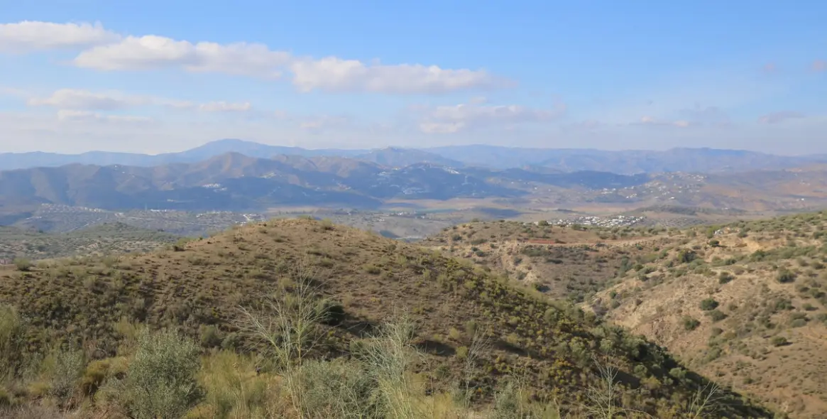 Sale of detached villa in Alcaucín 1