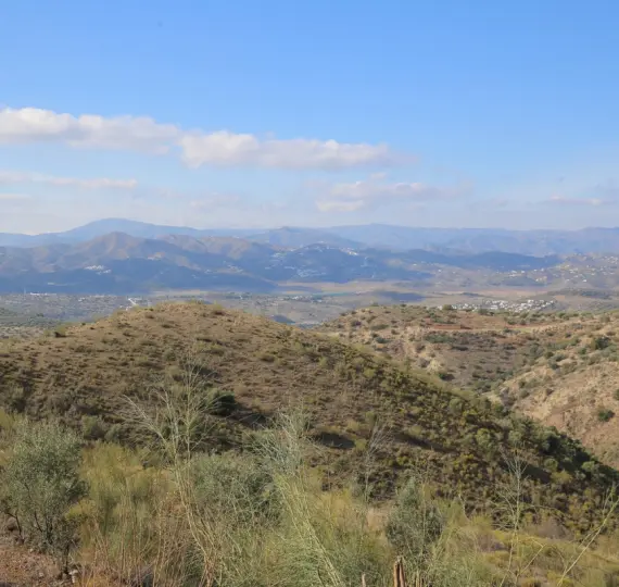 Sale of detached villa in Alcaucín