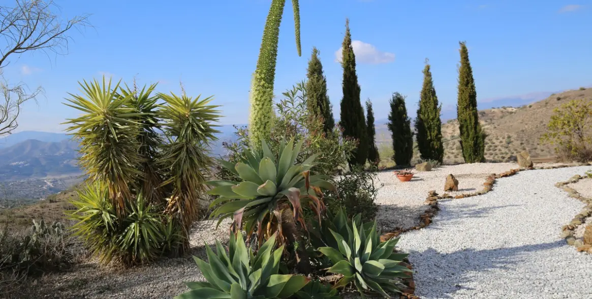 Sale of detached villa in Alcaucín 28