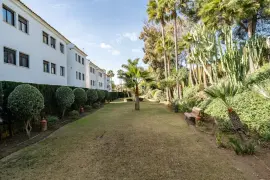 Image 62 thumb