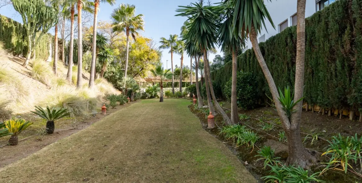 Sale of ground floor apartment in Cancelada 63