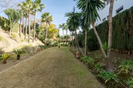 Image 63 thumb
