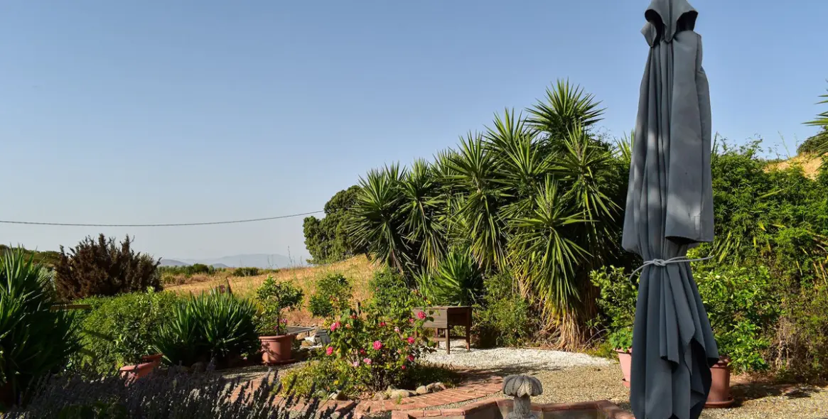 Sale of finca - cortijo in Villanueva De La Concepcion 20