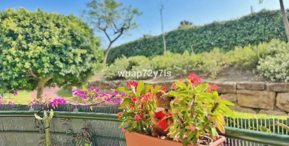 Sale of ground floor apartment in Guadalmina Alta 22