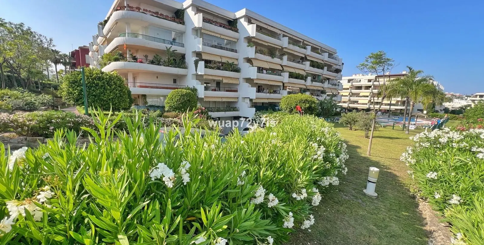 Sale of ground floor apartment in Guadalmina Alta 1