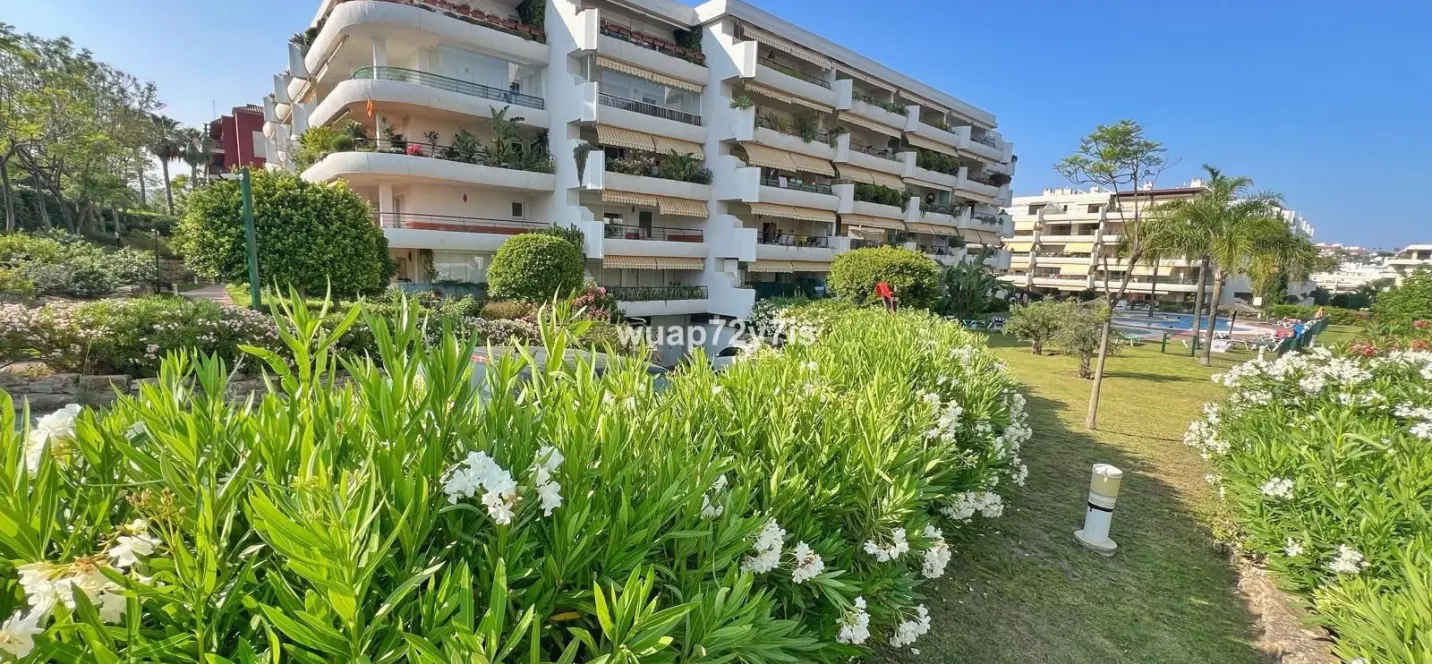 Sale of ground floor apartment in Guadalmina Alta 0
