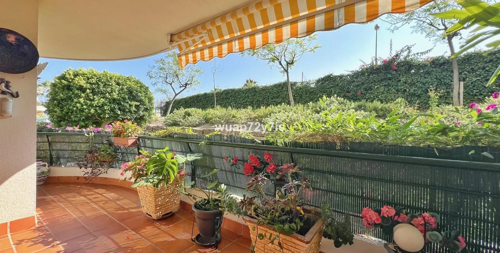 Sale of ground floor apartment in Guadalmina Alta 17