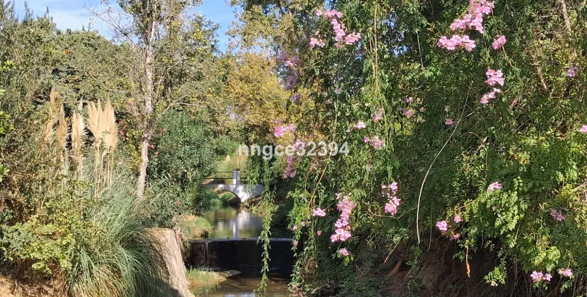 Продажа пентхауса в New Golden Mile 29