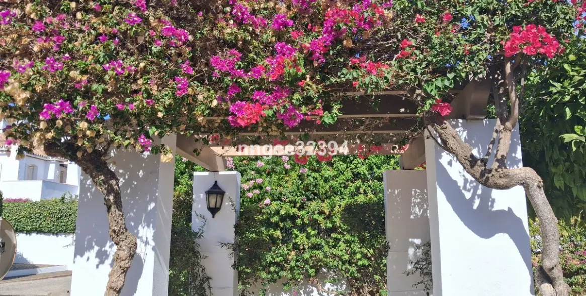 Продажа пентхауса в New Golden Mile 32