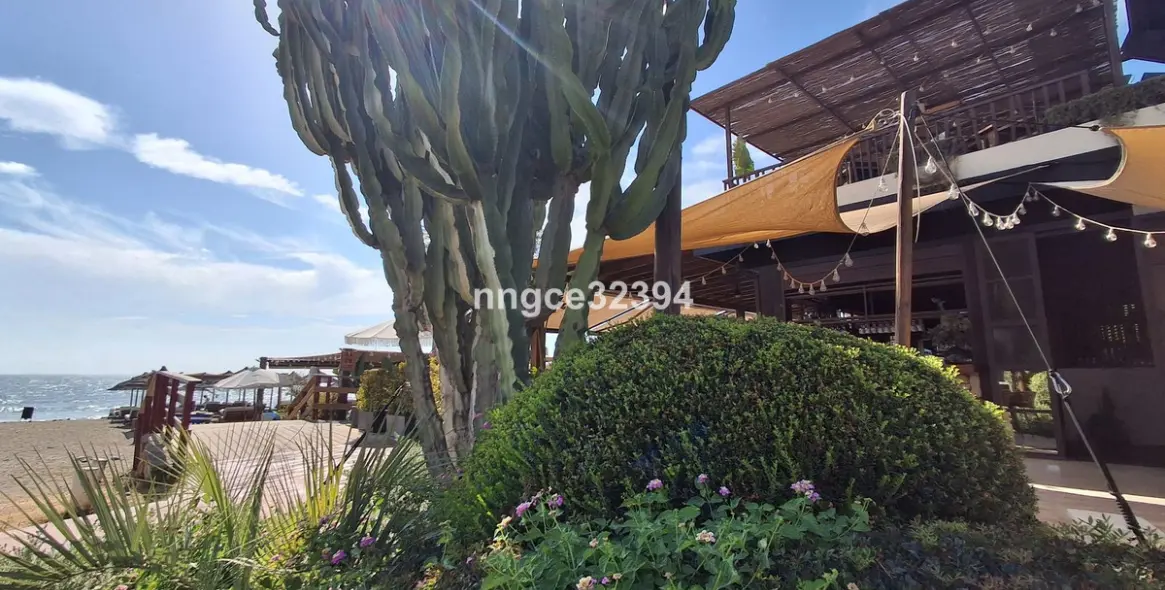 Продажа пентхауса в New Golden Mile 40