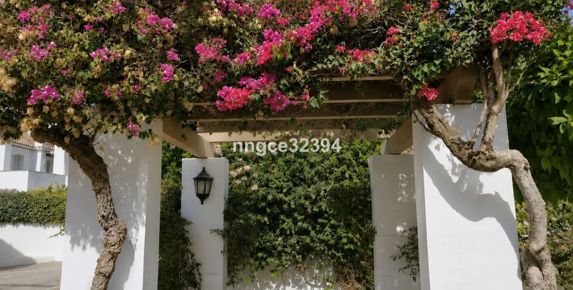Sale of penthouse in New Golden Mile 36