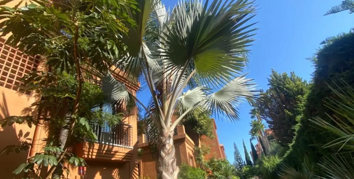 Sale of ground floor apartment in Atalaya 27