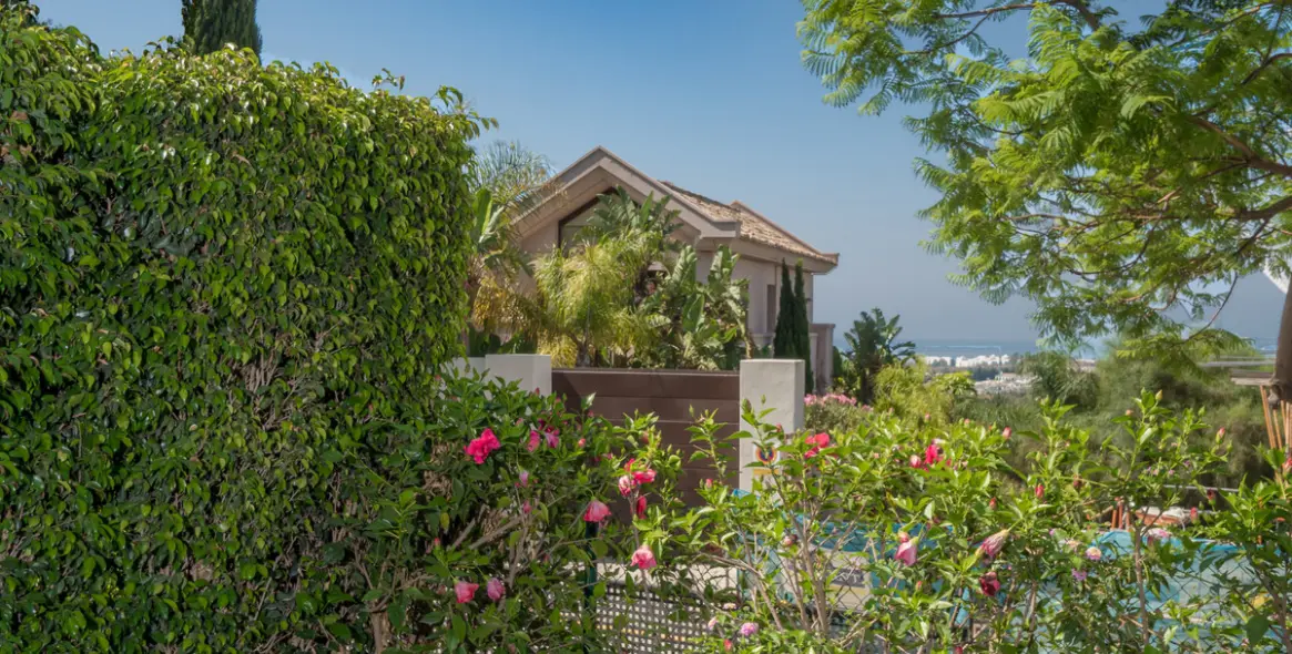 Sale of ground floor apartment in Los Flamingos 22