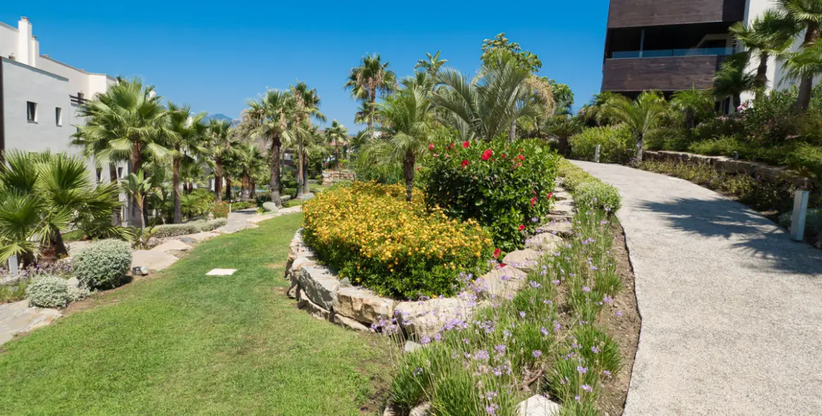 Sale of ground floor apartment in Los Flamingos 23