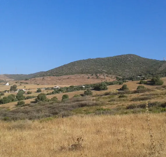 Venta de parcela residencial en Casares