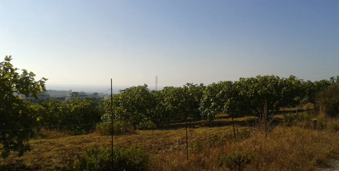 Venta de parcela residencial en Casares 2