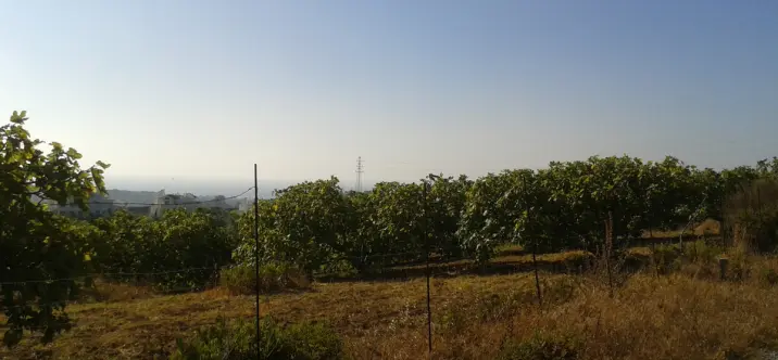 Venta de parcela residencial en Casares 1