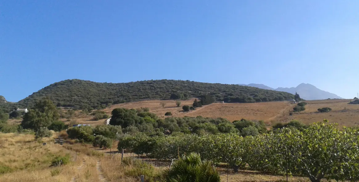 Venta de parcela residencial en Casares 3