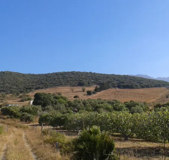 Venta de parcela residencial en Casares