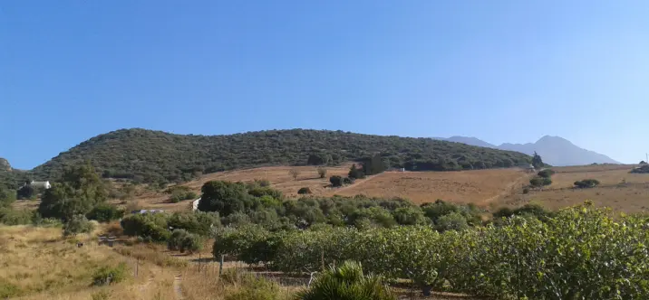 Venta de parcela residencial en Casares 2