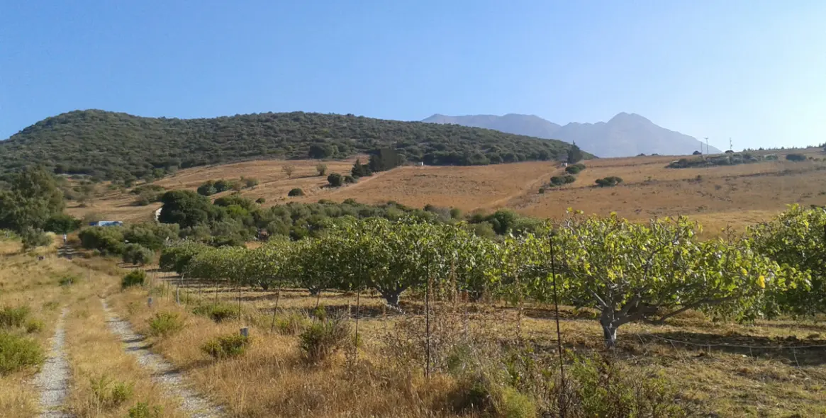 Venta de parcela residencial en Casares 4