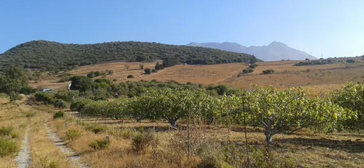 Venta de parcela residencial en Casares 3