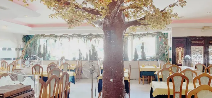 Продажа ресторана в Calahonda 2