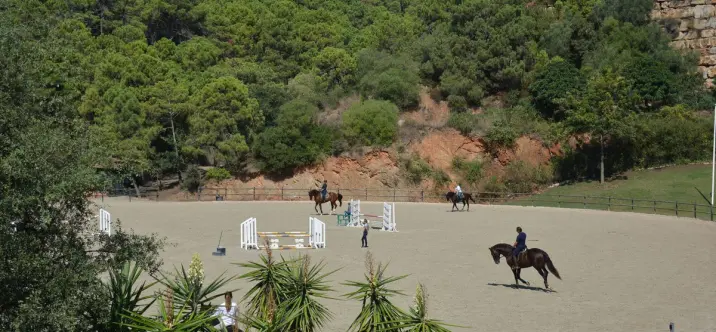 Продажа  жилого участка в Benahavís 2