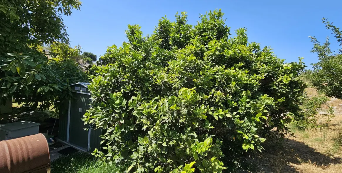 Venta de villa independiente en Casares 3