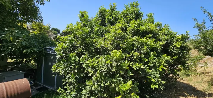 Продажа  отдельно стоящей виллы в Casares 2