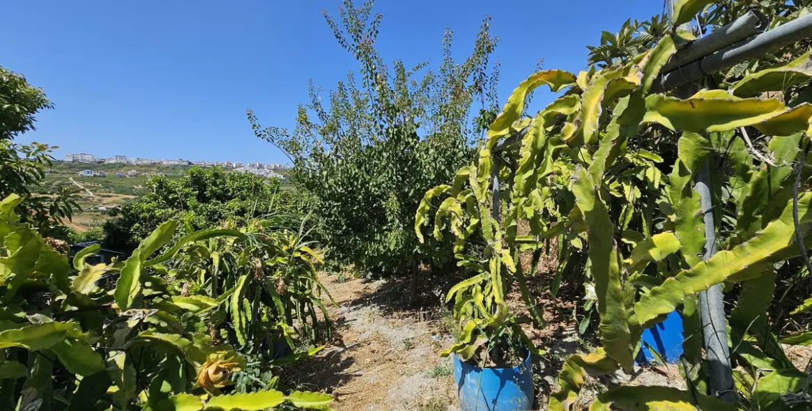 Venta de villa independiente en Casares 9