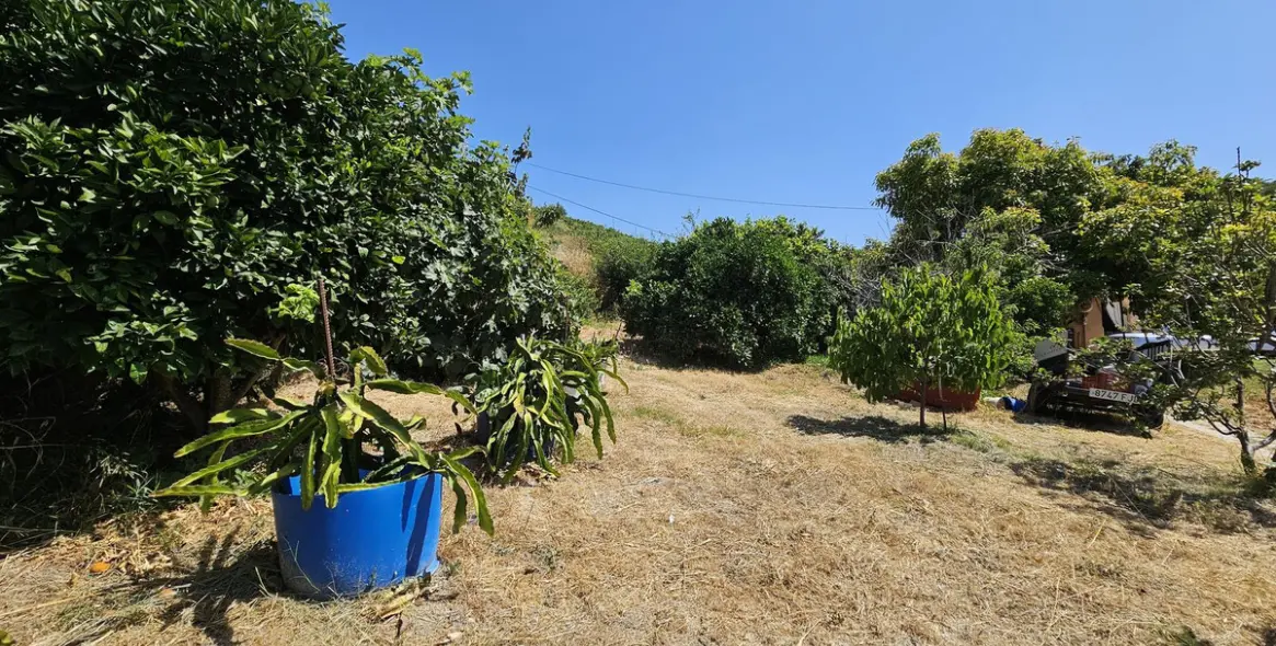 Venta de villa independiente en Casares 13