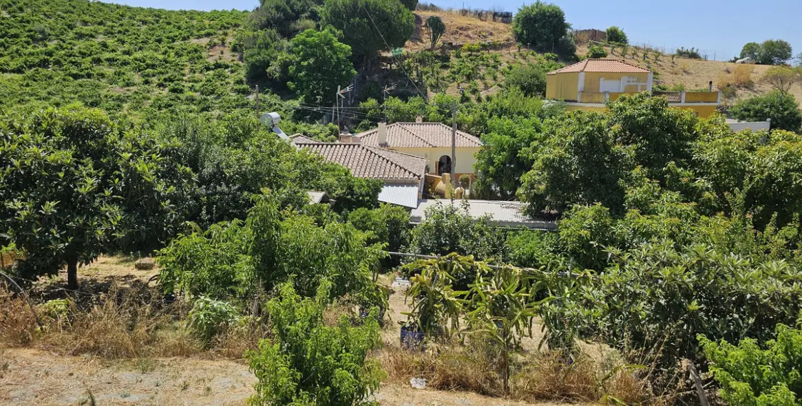 Sale of detached villa in Casares 21