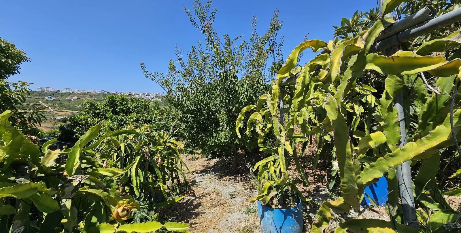 Продажа  отдельно стоящей виллы в Casares 5