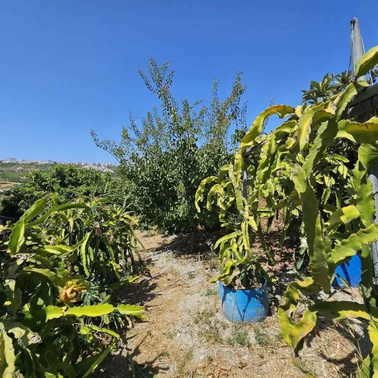 Venta de villa independiente en Casares