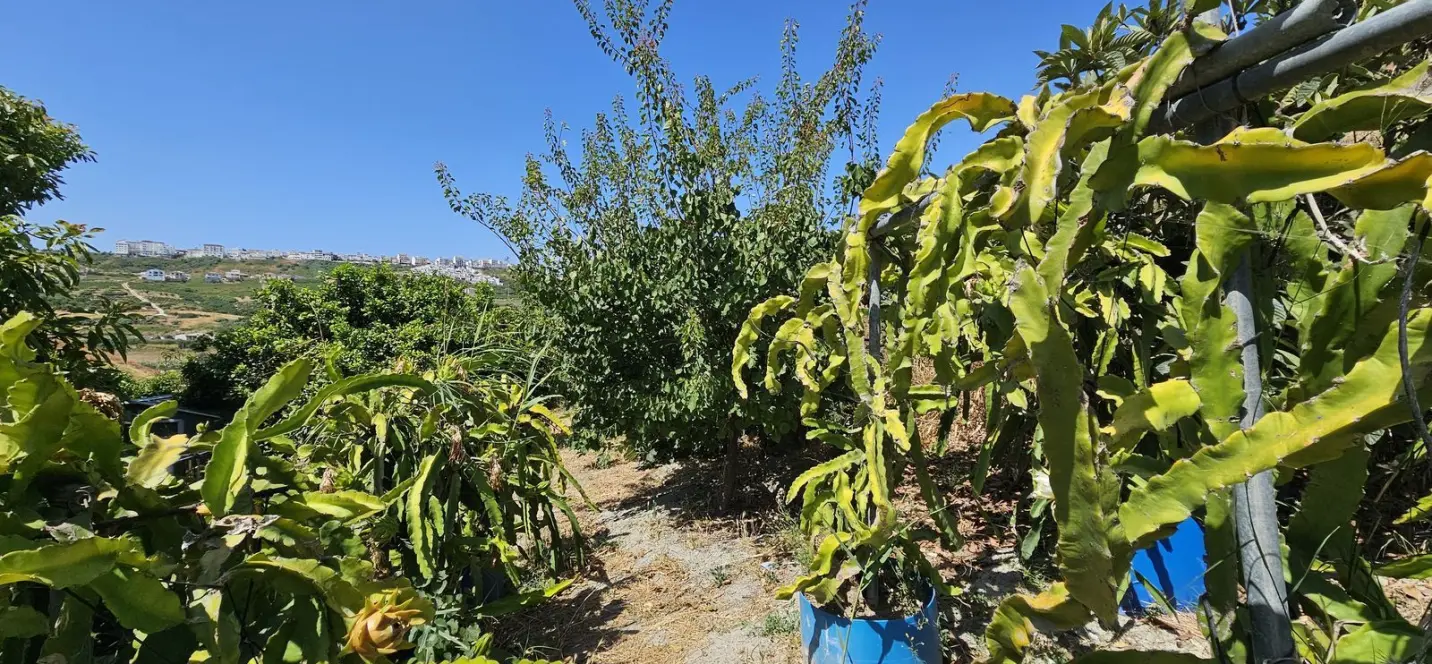 Venta de villa independiente en Casares 4