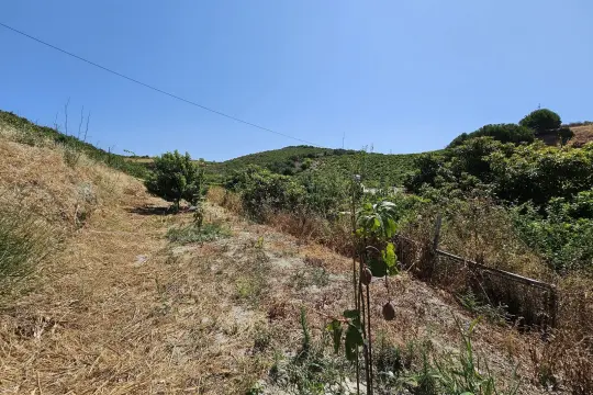 Image 18 thumb