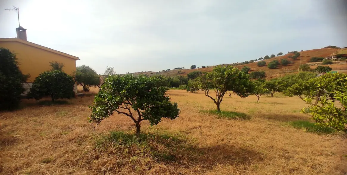 Продажа финки в La Cala 18