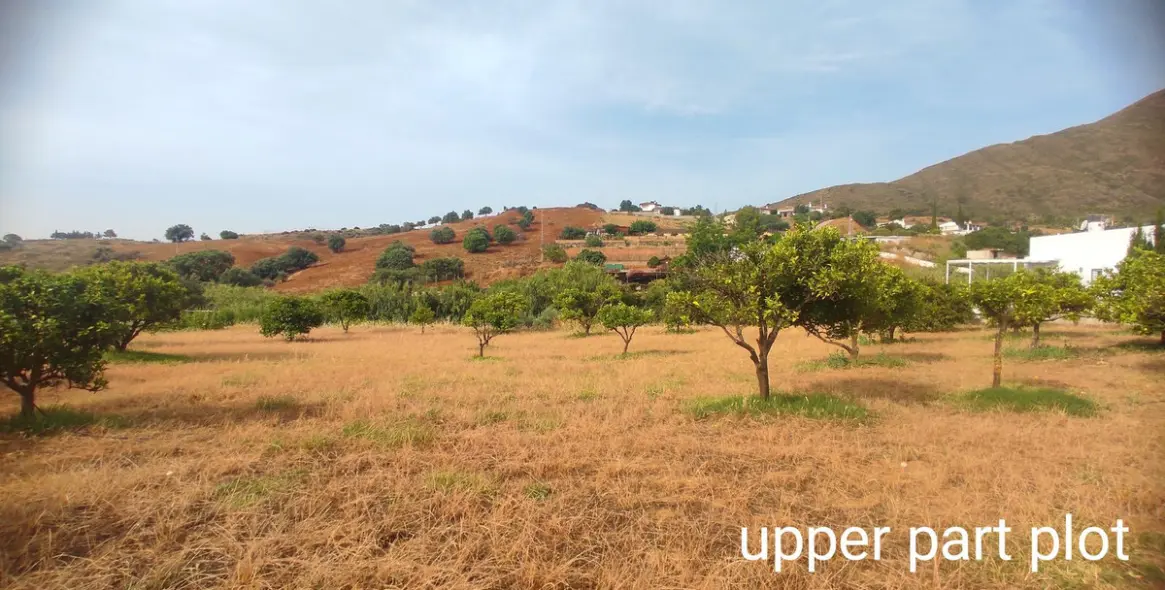 Продажа финки в La Cala 19