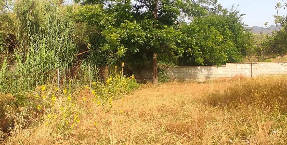 Sale of finca - cortijo in La Cala 24