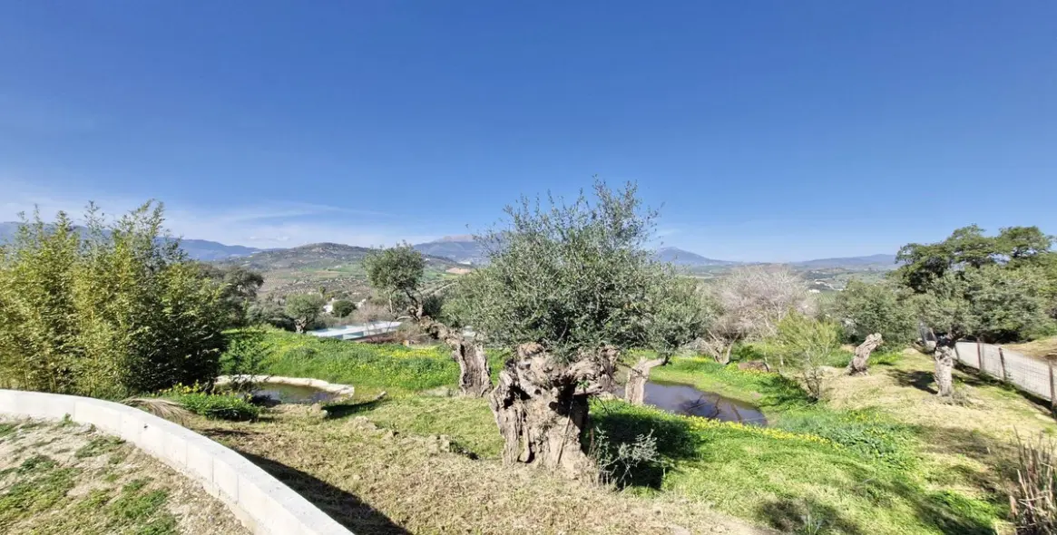 Sale of finca - cortijo in Coín 25
