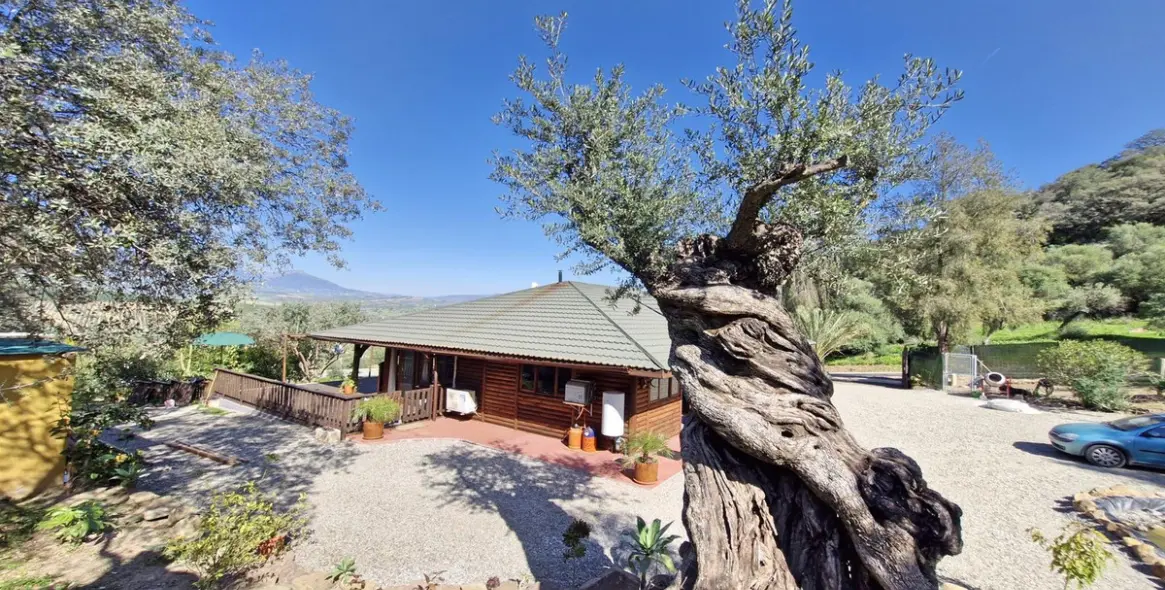 Sale of finca - cortijo in Coín 27