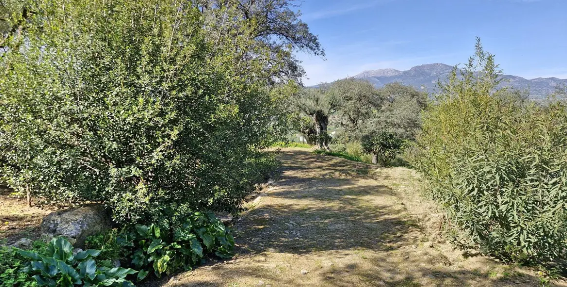 Sale of finca - cortijo in Coín 33