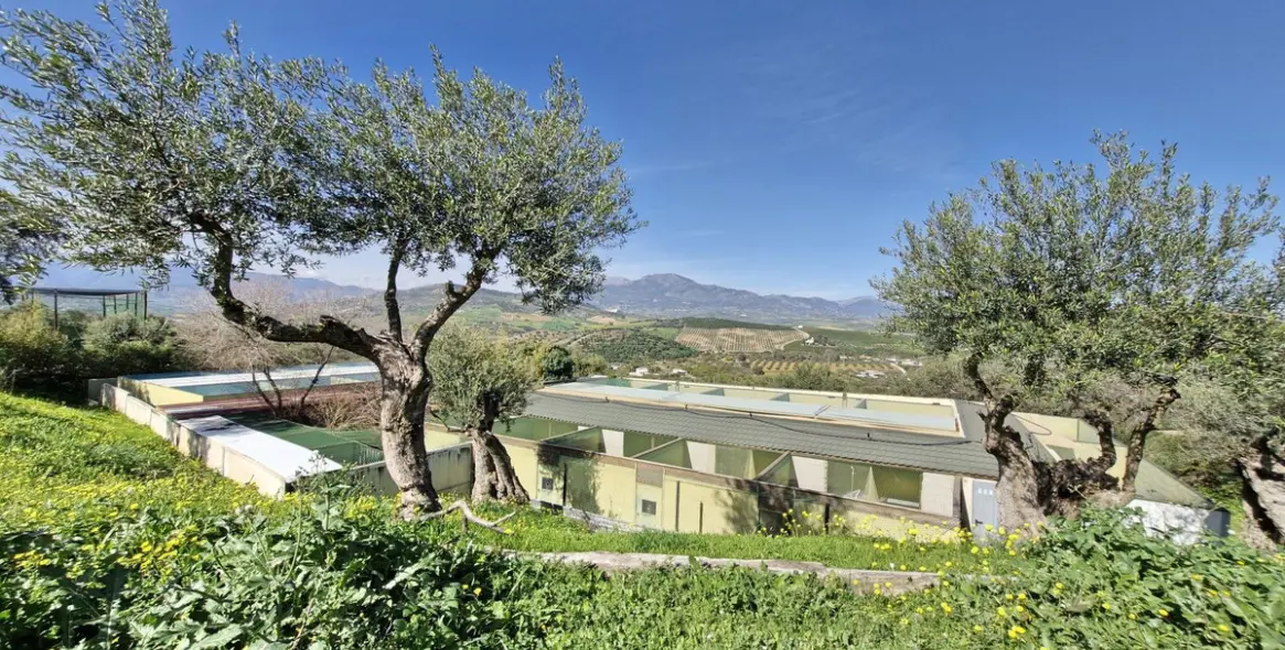 Sale of finca - cortijo in Coín 35